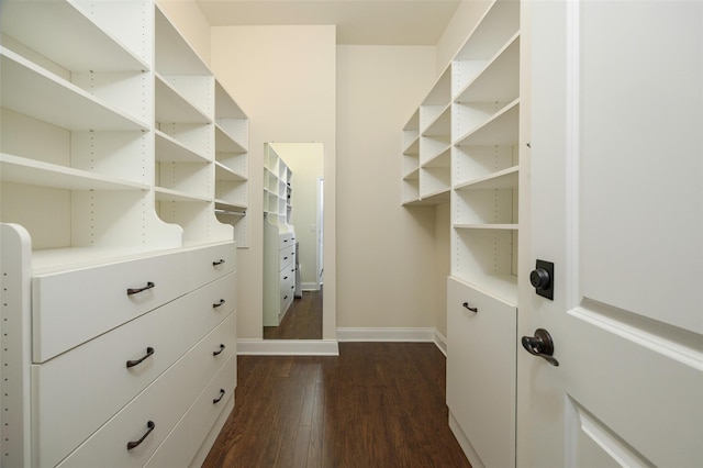44 Linwood Dr, Wappingers Falls, NY 12590 - walk in closet with dark wood-style floors
