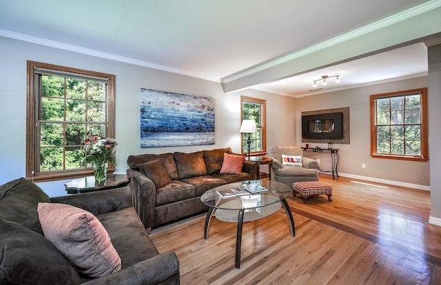84 Macarthur Ln, Tarrytown, NY 10591 - living area with plenty of natural light, light wood finished floors, and ornamental molding