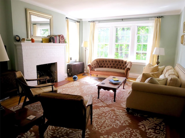 85 N Broadway Unit 2H, White Plains, NY 10603 - living area featuring radiator heating unit, ornamental molding, wood finished floors, and a brick fireplace