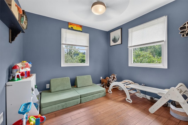 54 Graby Rd, Callicoon, NY 12723 - recreation room featuring plenty of natural light, wood finished floors, and a ceiling fan