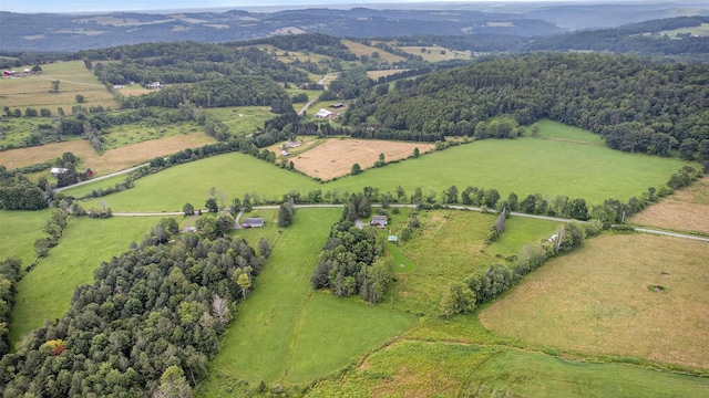 54 Graby Rd, Callicoon, NY 12723 - aerial view of sparsely populated area with mountains