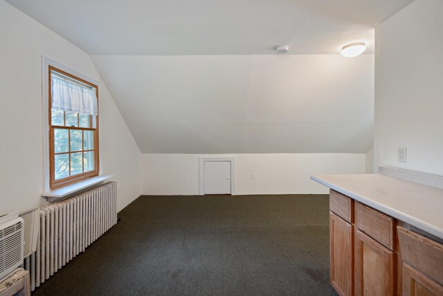 1459 N Country Rd, Wading River, NY 11792 - bonus room featuring dark colored carpet, vaulted ceiling, and radiator
