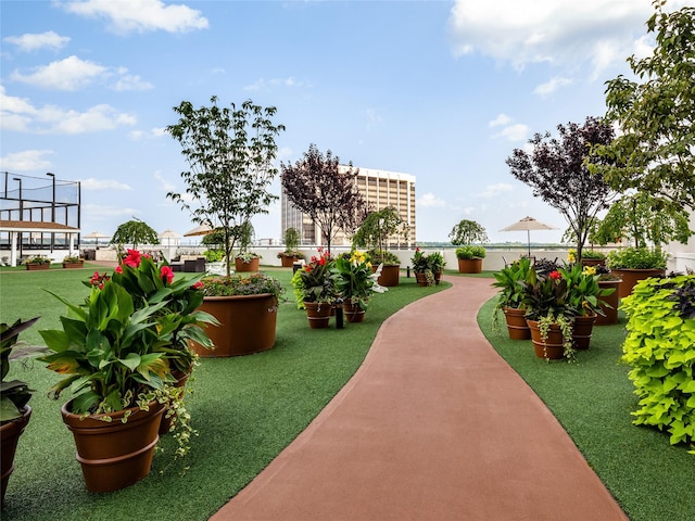 10 City Pl Unit Ph2C, White Plains, NY 10601 - view of community