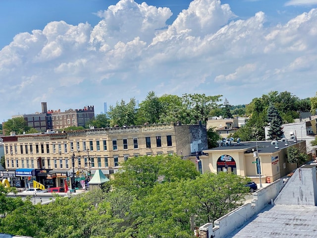 7313 71st St, Ridgewood, NY 11385 - city view