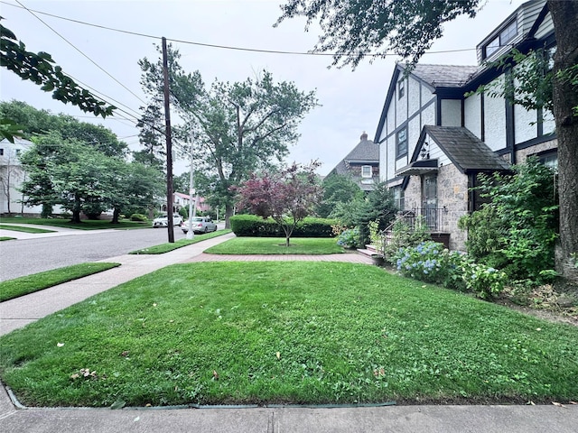 3345 160th St, Flushing, NY 11358 - view of green lawn