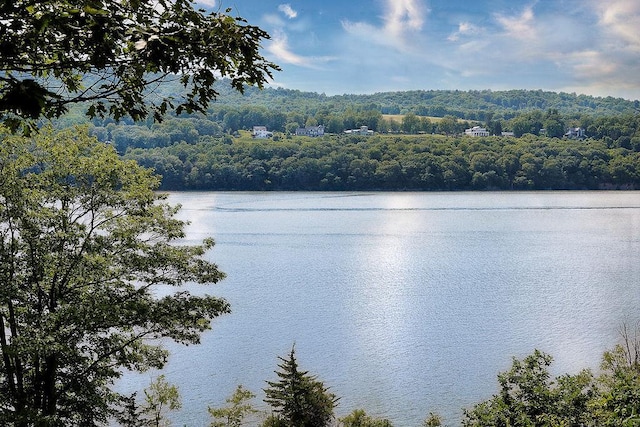 90 River Rd, Hyde Park, NY 12538 - water view with a forest