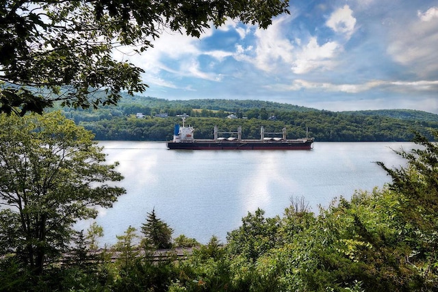 90 River Rd, Hyde Park, NY 12538 - water view featuring a heavily wooded area and a floating dock