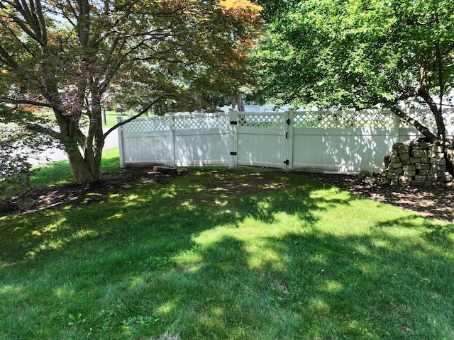 114 Shetland Dr, New City, NY 10956 - view of yard
