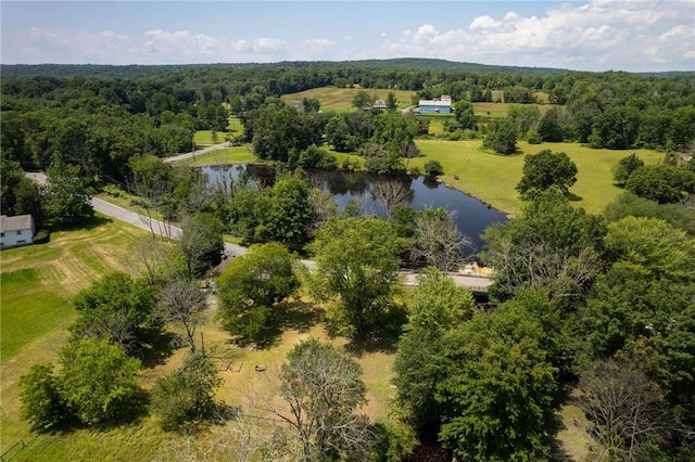 604 S Plank Rd, Johnson, NY 10933 - photo 5