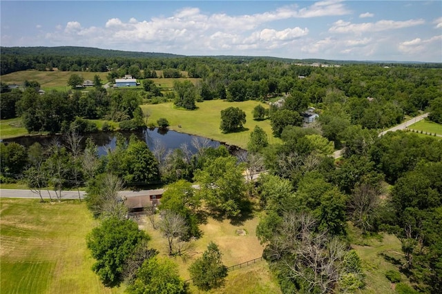604 S Plank Rd, Johnson, NY 10933 - photo 6