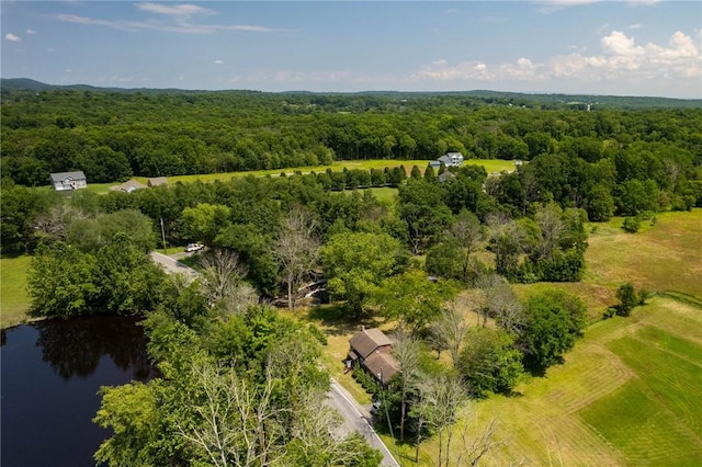 604 S Plank Rd, Johnson, NY 10933 - photo 7