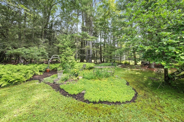 97 E Glen Wild Rd, Glen Wild, NY 12738 - photo 33