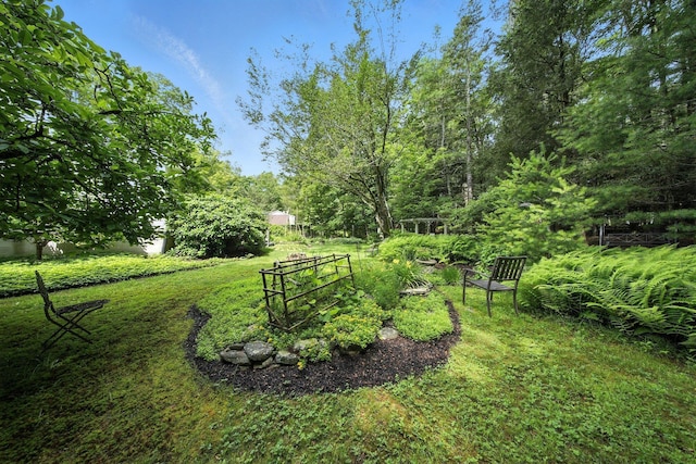97 E Glen Wild Rd, Glen Wild, NY 12738 - photo 34