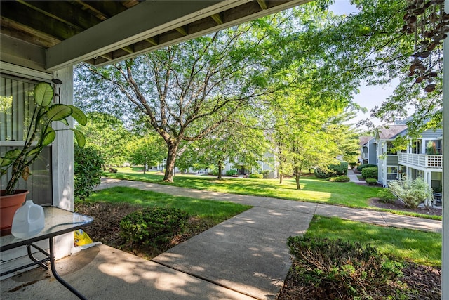 207 Arlin Rd, Monroe, NY 10950 - photo 5