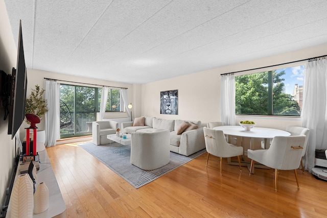 3220 Fairfield Ave Unit 6A, Bronx, NY 10463 - living area featuring plenty of natural light, wood finished floors, and a textured ceiling