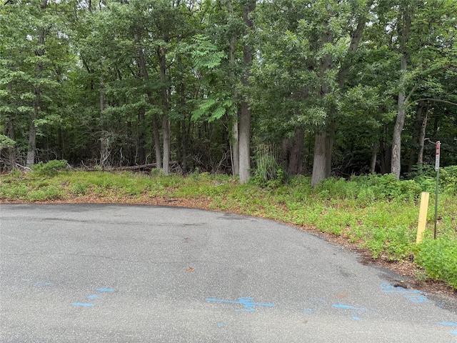 Park Ave, Port Jefferson Station, NY 11777 - photo 2