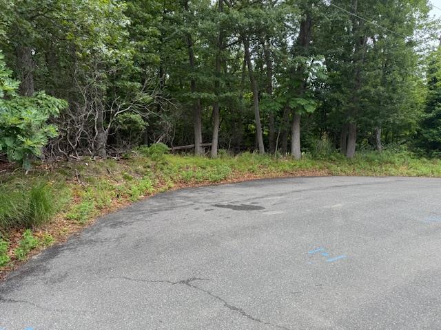Park Ave, Port Jefferson Station, NY 11777 - photo 3