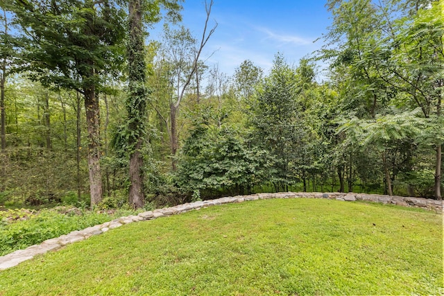 424 Cording Ln, Yorktown Heights, NY 10598 - photo 33