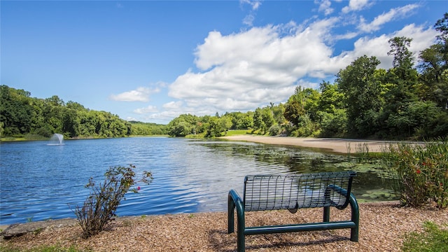 424 Cording Ln, Yorktown Heights, NY 10598 - photo 42