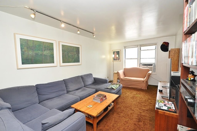 29 Abeel St Unit 4L, Yonkers, NY 10705 - living area with cooling unit, carpet, and track lighting