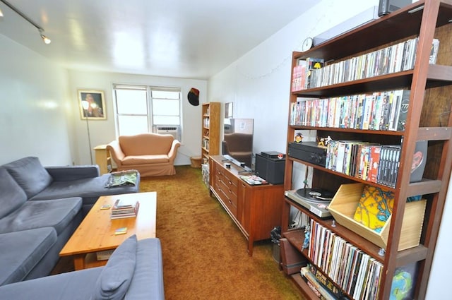 29 Abeel St Unit 4L, Yonkers, NY 10705 - carpeted living room with rail lighting