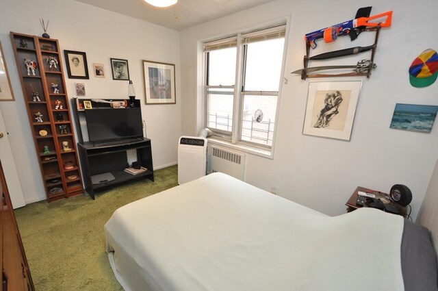 29 Abeel St Unit 4L, Yonkers, NY 10705 - bedroom featuring radiator heating unit and carpet