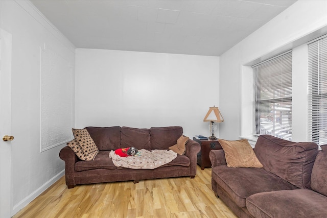 32-17 110, East Elmhurst, NY 11369 - living area featuring wood finished floors and baseboards
