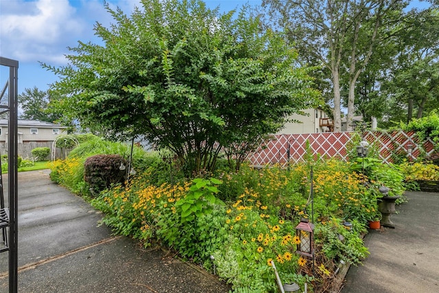 24 Hickory St, Deer Park, NY 11729 - view of yard