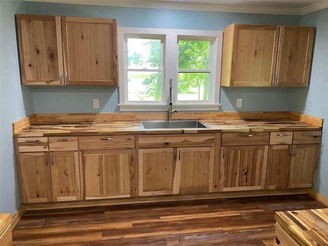 9 Roger Ct, Red Hook, NY 12571 - kitchen with crown molding, wood counters, dark wood-style floors, and light brown cabinetry