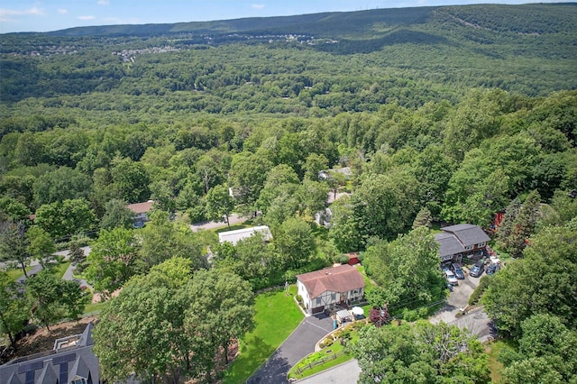 17 Highland Dr, Highland Mills, NY 10930 - photo 43