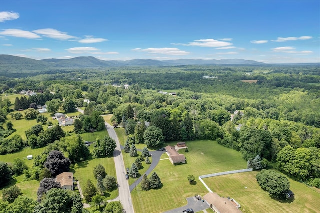 32 Gold Rd, Stormville, NY 12582 - photo 35