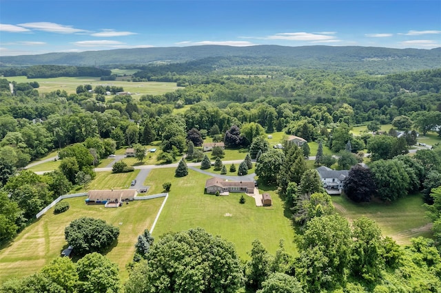 32 Gold Rd, Stormville, NY 12582 - photo 38