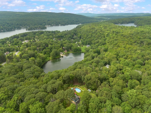 16 Mountain View Dr, Holmes, NY 12531 - aerial overview of property's location with a large body of water