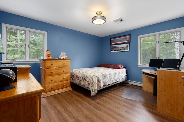 16 Mountain View Dr, Holmes, NY 12531 - bedroom featuring multiple windows, wood finished floors, and baseboard heating