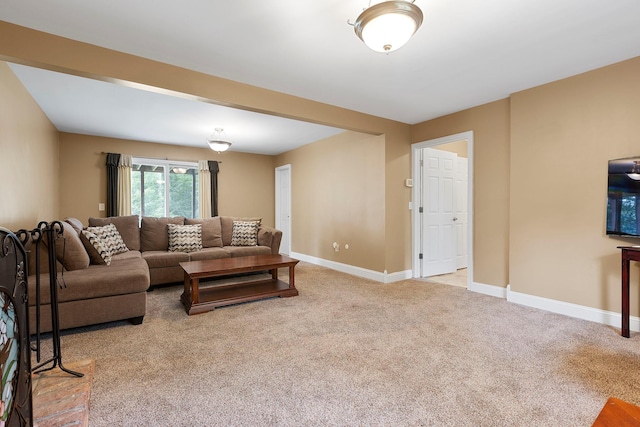 16 Mountain View Dr, Holmes, NY 12531 - carpeted living area featuring baseboards