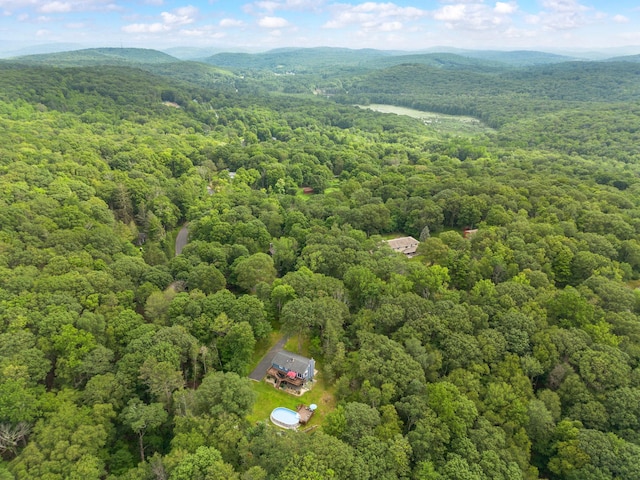 16 Mountain View Dr, Holmes, NY 12531 - bird's eye view of a heavily wooded area