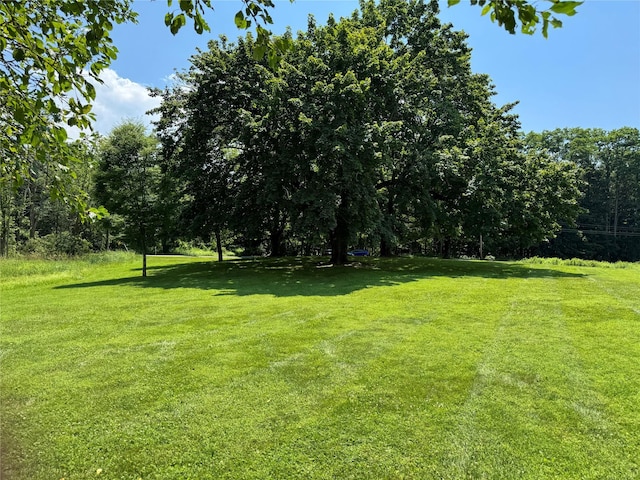 161 Whalesback Rd, Red Hook, NY 12571 - photo 8