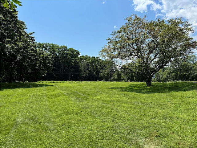 161 Whalesback Rd, Red Hook, NY 12571 - photo 9