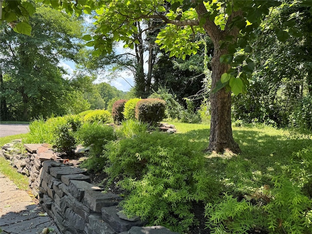161 Whalesback Rd, Red Hook, NY 12571 - photo 10