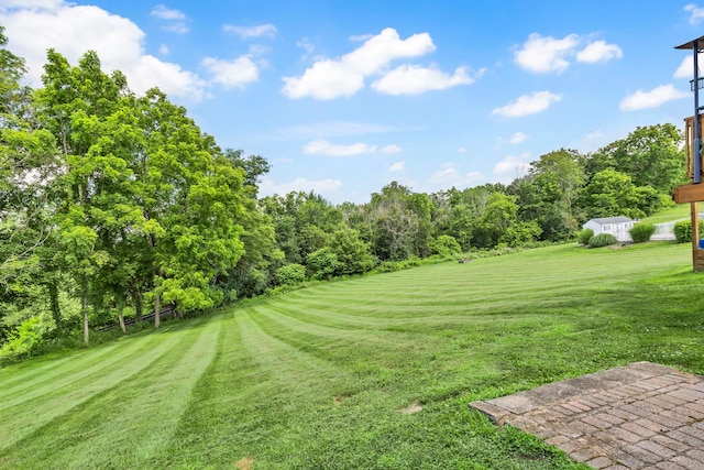 331 Ridge Rd, Campbell Hall, NY 10916 - view of grassy yard with view of scattered trees