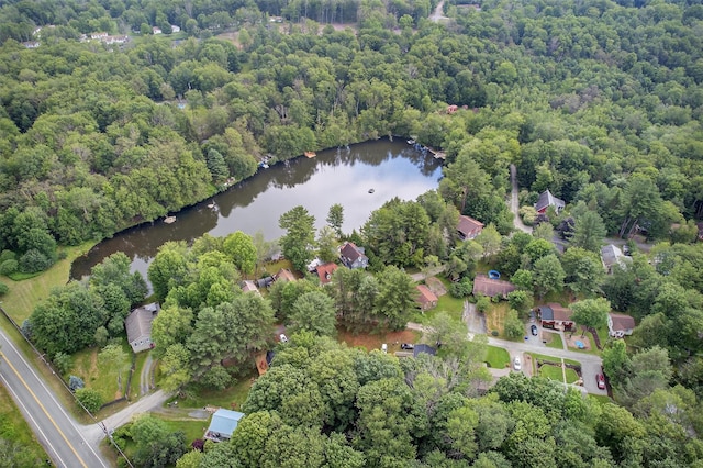 11 Apache Ln, Ferndale, NY 12734 - aerial overview of property's location with a large body of water and a heavily wooded area