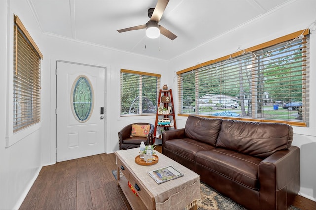 11 Apache Ln, Ferndale, NY 12734 - living area with dark wood-type flooring, ceiling fan, and crown molding