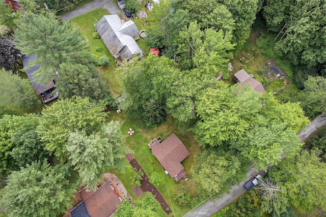 11 Apache Ln, Ferndale, NY 12734 - aerial view of property and surrounding area