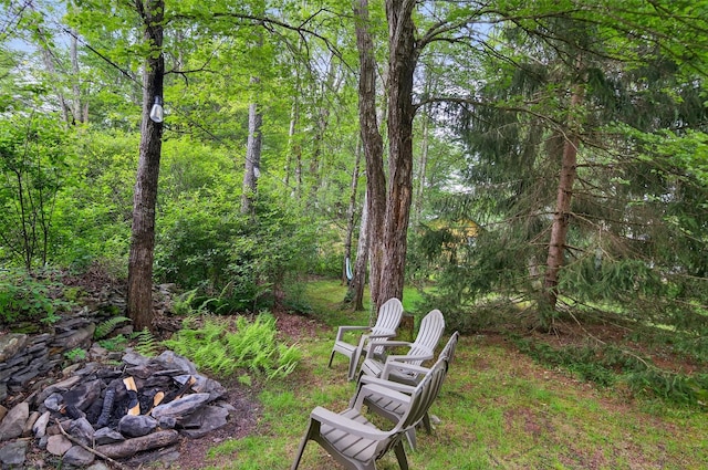 11 Apache Ln, Ferndale, NY 12734 - view of yard with a wooded view