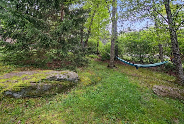 11 Apache Ln, Ferndale, NY 12734 - view of yard