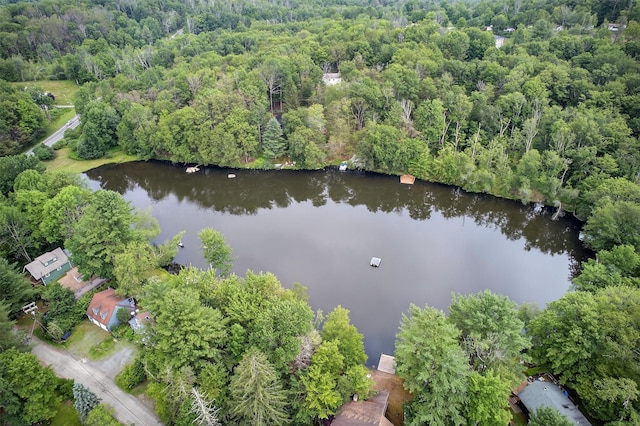 11 Apache Ln, Ferndale, NY 12734 - view of property location featuring a heavily wooded area and a large body of water