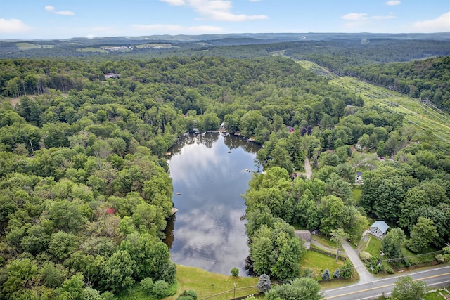 11 Apache Ln, Ferndale, NY 12734 - aerial view of a forest and a nearby body of water