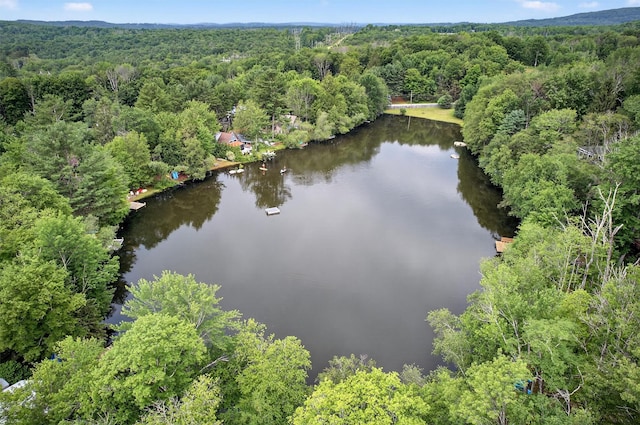 11 Apache Ln, Ferndale, NY 12734 - drone / aerial view of a forest and a nearby body of water