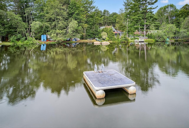 11 Apache Ln, Ferndale, NY 12734 - dock area featuring a water view