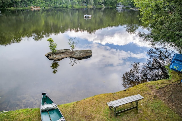 11 Apache Ln, Ferndale, NY 12734 - water view featuring a heavily wooded area